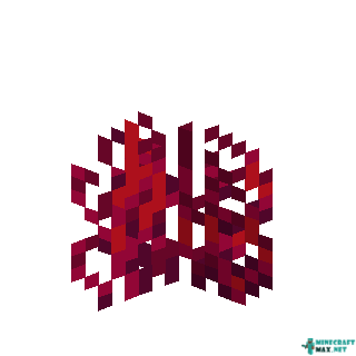 Karmínové korienky